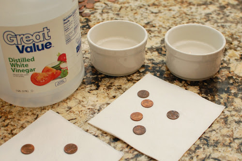 An Easy Penny Science Experiment & Interesting Facts! 3-7-2011+011