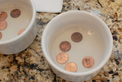 An Easy Penny Science Experiment & Interesting Facts! 3-7-2011+012