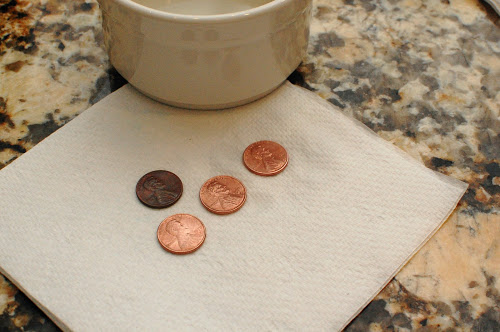 An Easy Penny Science Experiment & Interesting Facts! 3-7-2011+019