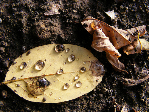 NaTuRe...
