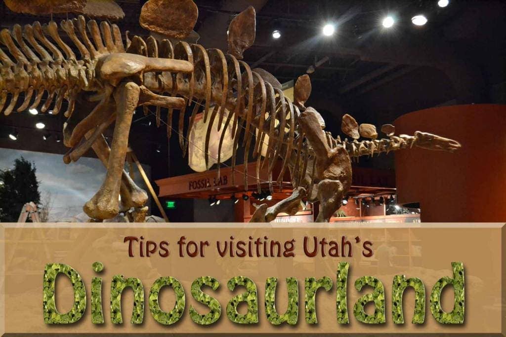 vernal dinosaur national park