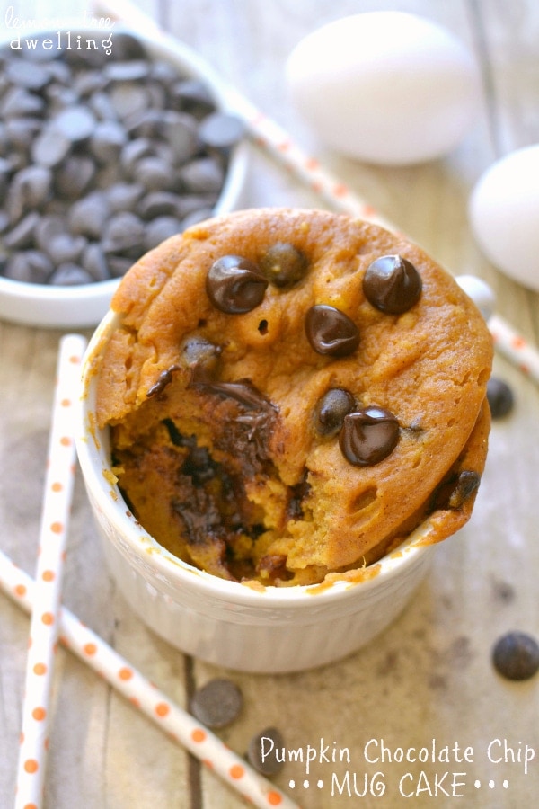 Pumpkin Chocolate Chip Mug Cake (she: Cathy)