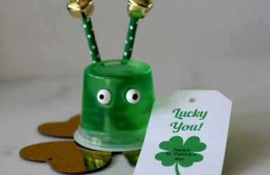 St. Patrick's Day Gift Idea