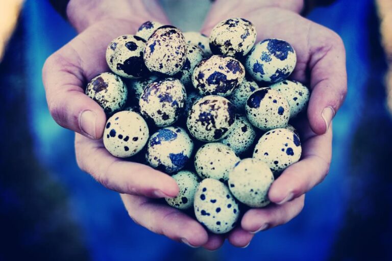 Urban Farming And How Do I Get Started? (she: Jennifer)