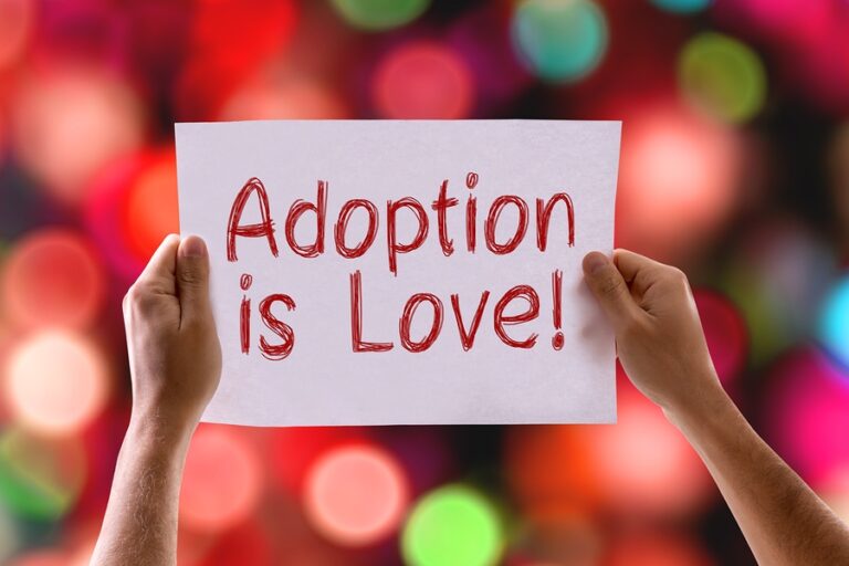 My Adoption Journey (she: Brenda)
