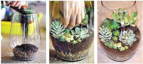 DRY TERRARIUM: Skip the moss and begin with rocks and a layer of soil. Use succulents like Jade plants and the fast-growing Hens and Chicks variety.