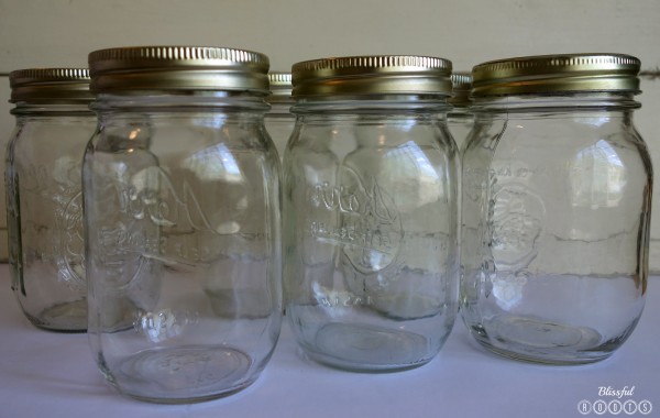 Bug Jar Jars