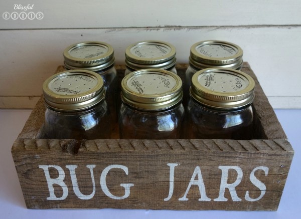 Bug Jars #2