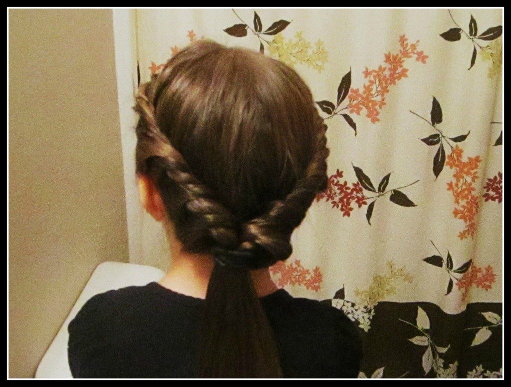Princess_ponytail