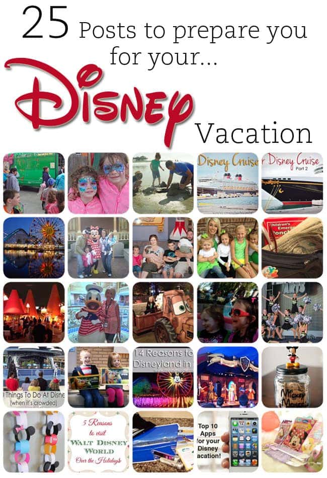 25 Posts to Prepare You for Your Disney Vacation www.oneshetwoshe.com