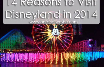 14 Reasons to Visit Disneyland in 2014 www.oneshetwoshe.com