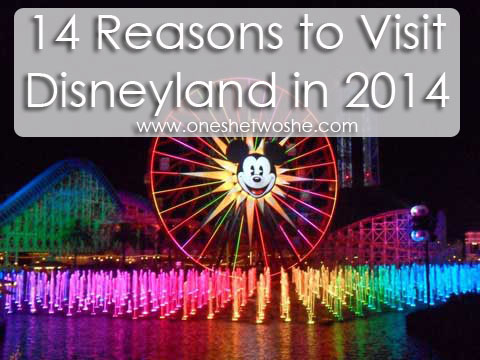 14 Reasons to Visit Disneyland in 2014 www.oneshetwoshe.com