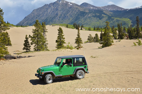 Carcross Desert