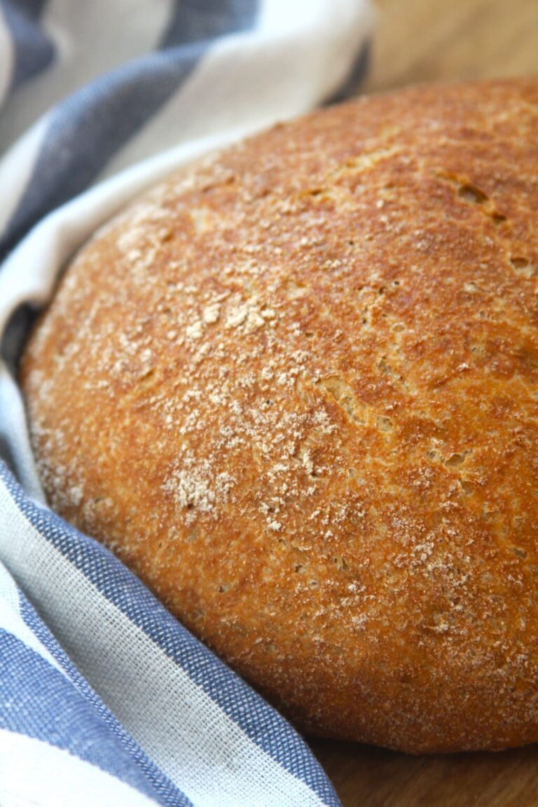 whole wheat no knead bread