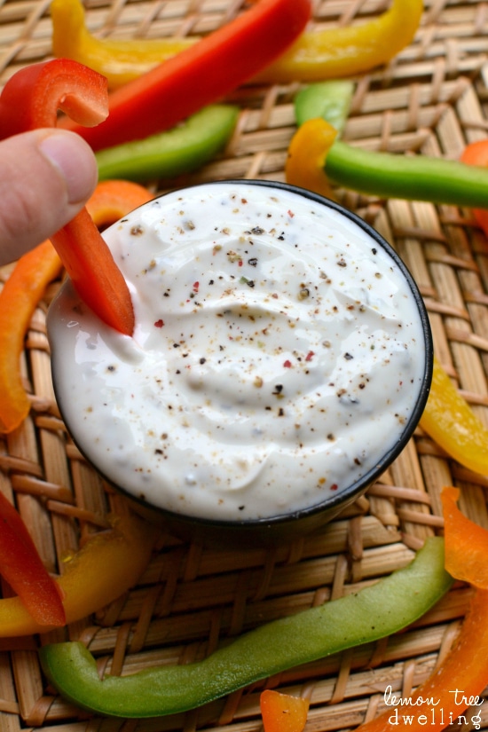 Skinny Greek Yogurt Dip - Perfect for Summer Produce