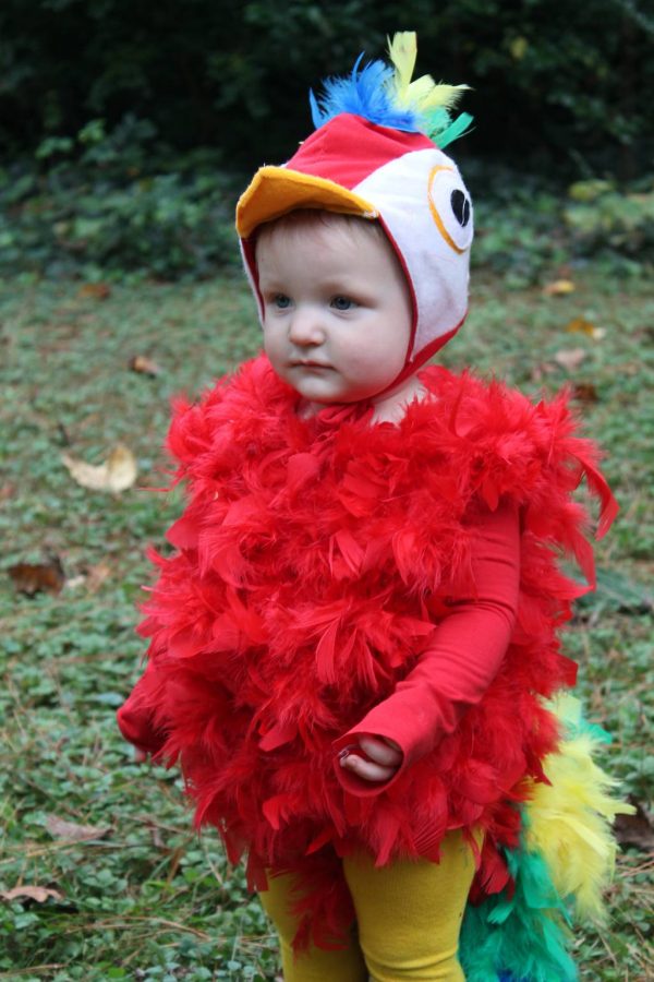 Homemade Halloween Costume Ideas for Toddlers