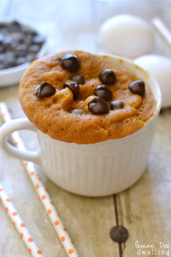 Pumpkin Chocolate Chip Mug Cake - ready in just 3 minutes!