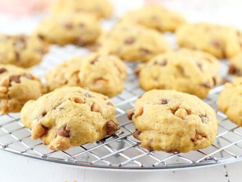 Pumpkin Butterscotch Pudding Cookies She Zainab