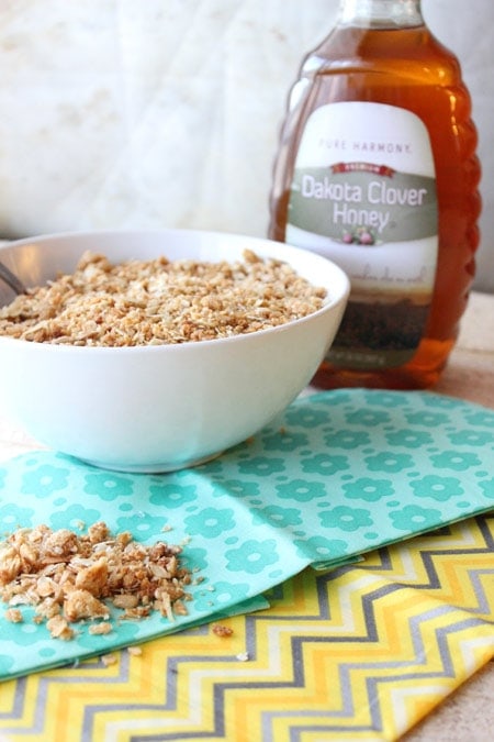 Golden Honey Granola - Easy to Make, Great on the Budget! @foodapparel