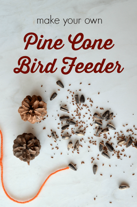 pine cone bird feeder title