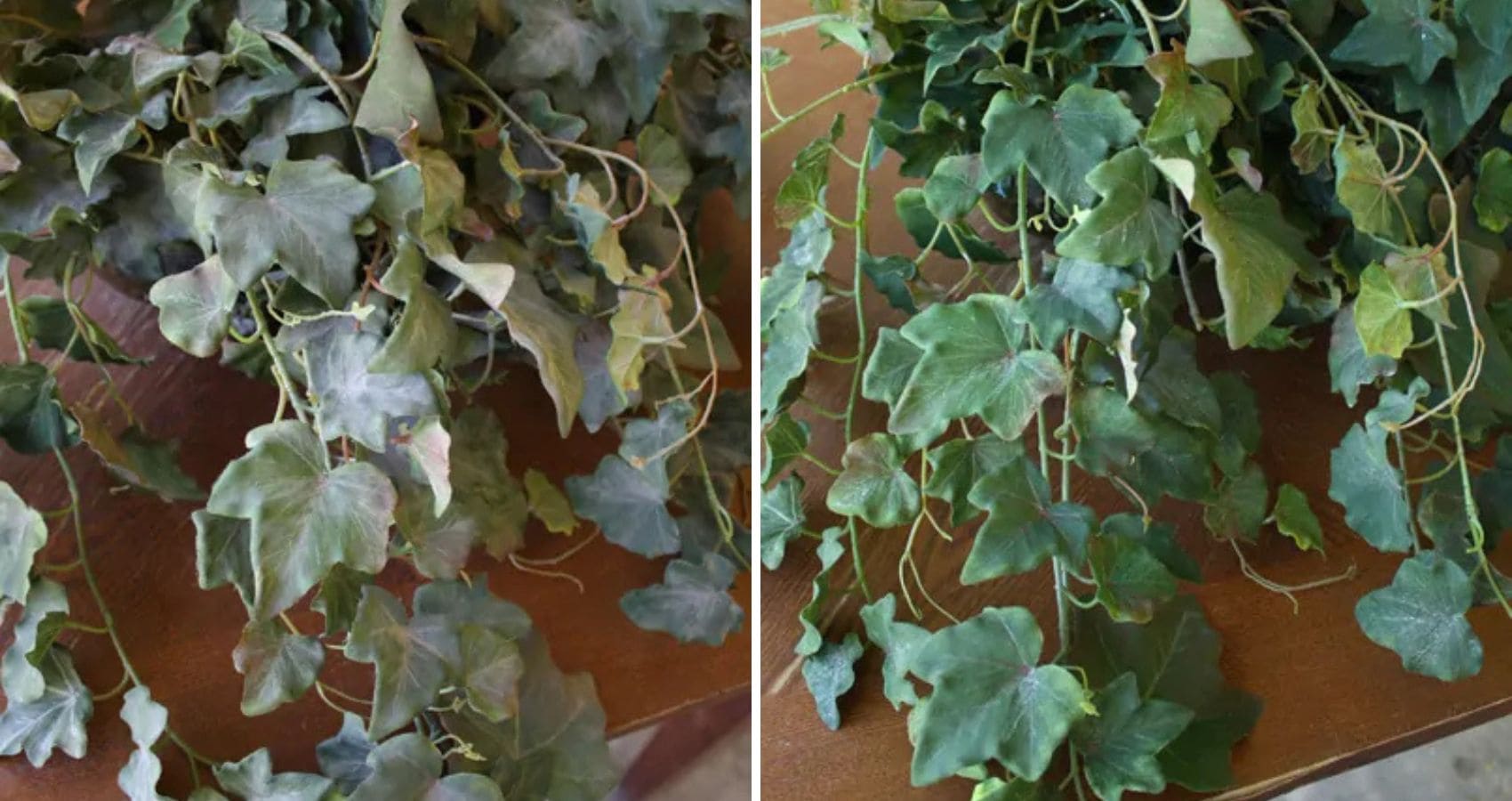 clean artificial plant