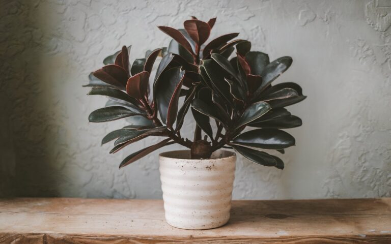 clean artificial plant