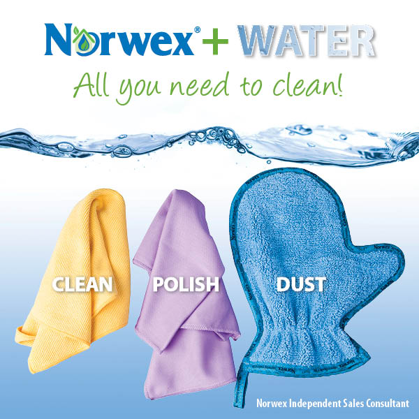 Norwex cleaning products