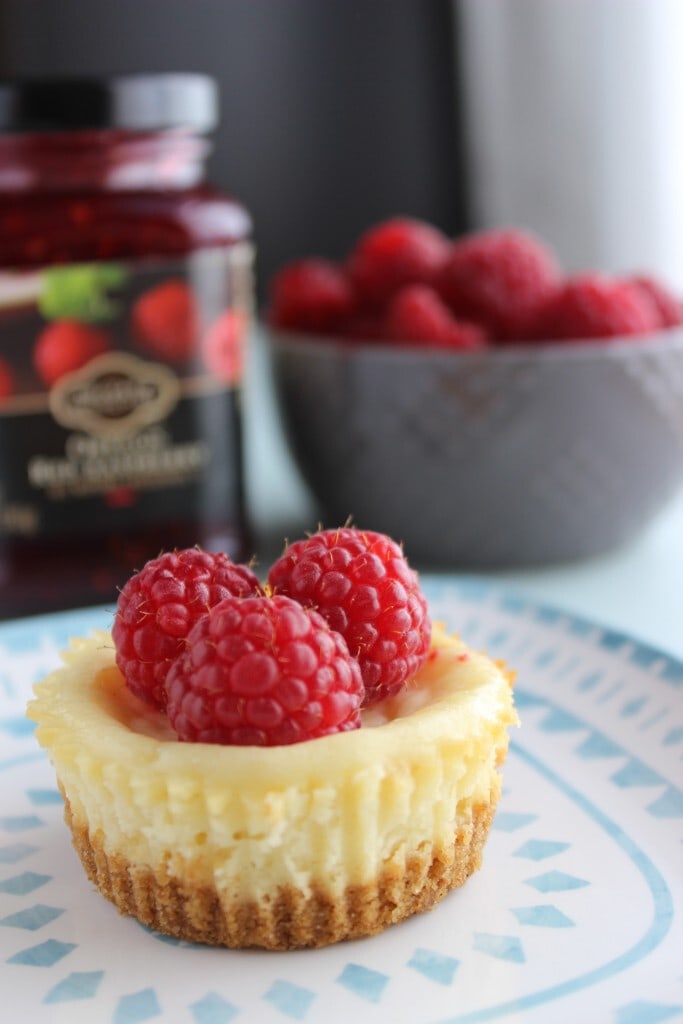 Cheesecake Bites Recipe