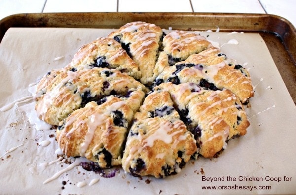 Blueberry Lemon Scones