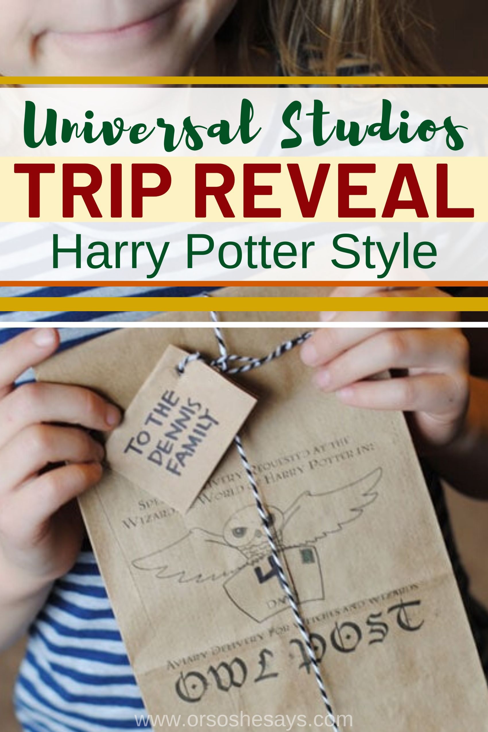 surprise universal studios trip reveal idea harry potter owl post