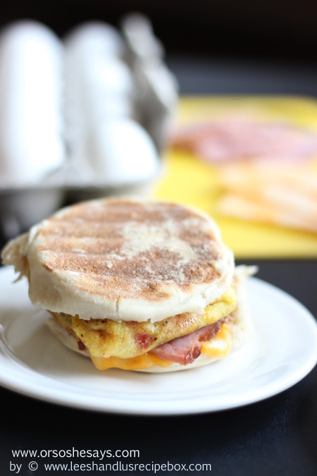 Omelet Style Breakfast Sandwiches (28) OSSS