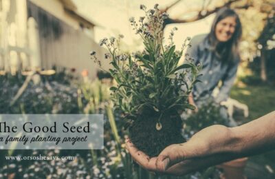 The Good Seed- Help your family better understand the principle of faith with this planting project. Find the idea and free printable on www.orsoshesays.com.