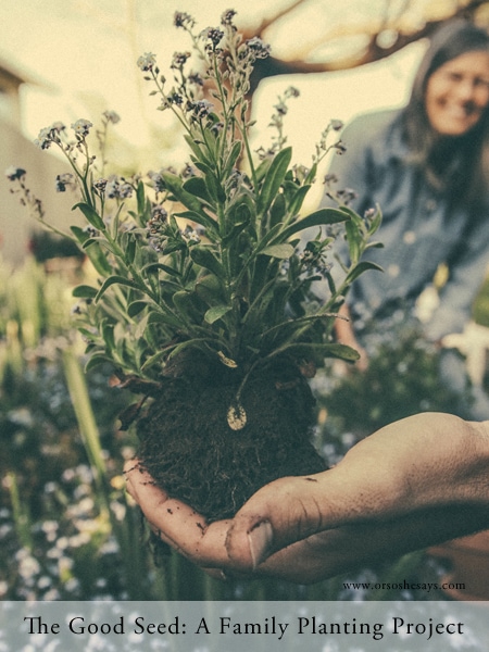 The Good Seed- Help your family better understand the principle of faith with this planting project. Find the idea and free printable on www.orsoshesays.com.