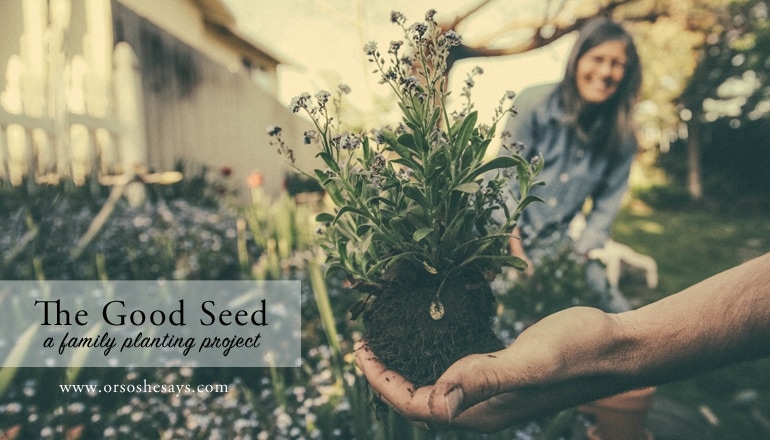 The Good Seed- Help your family better understand the principle of faith with this planting project. Find the idea and free printable on www.orsoshesays.com.