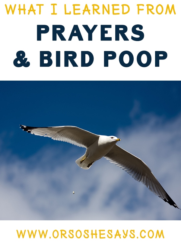 What I Learned from Prayers & Bird Poop (he: Dan) www.orsoshesays.com