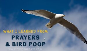What I Learned from Prayers and Bird Poop (he: Dan) ~ www.orsoshesays.com
