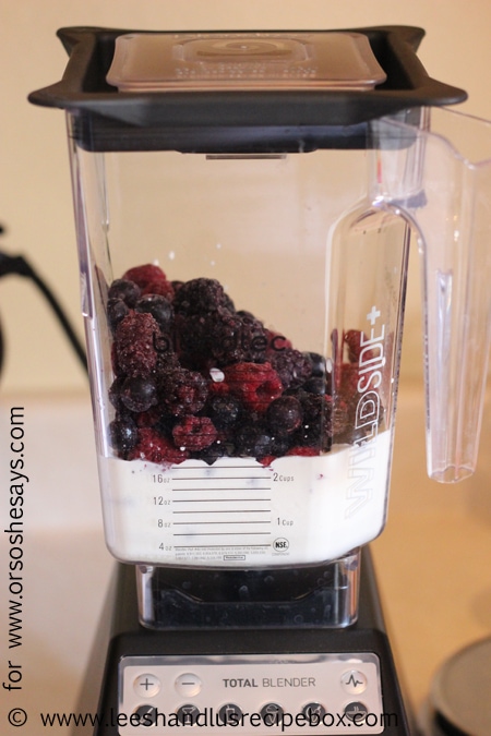 Triple Berry Blender Ice Cream - SO FAST! (she: Leesh & Lu)