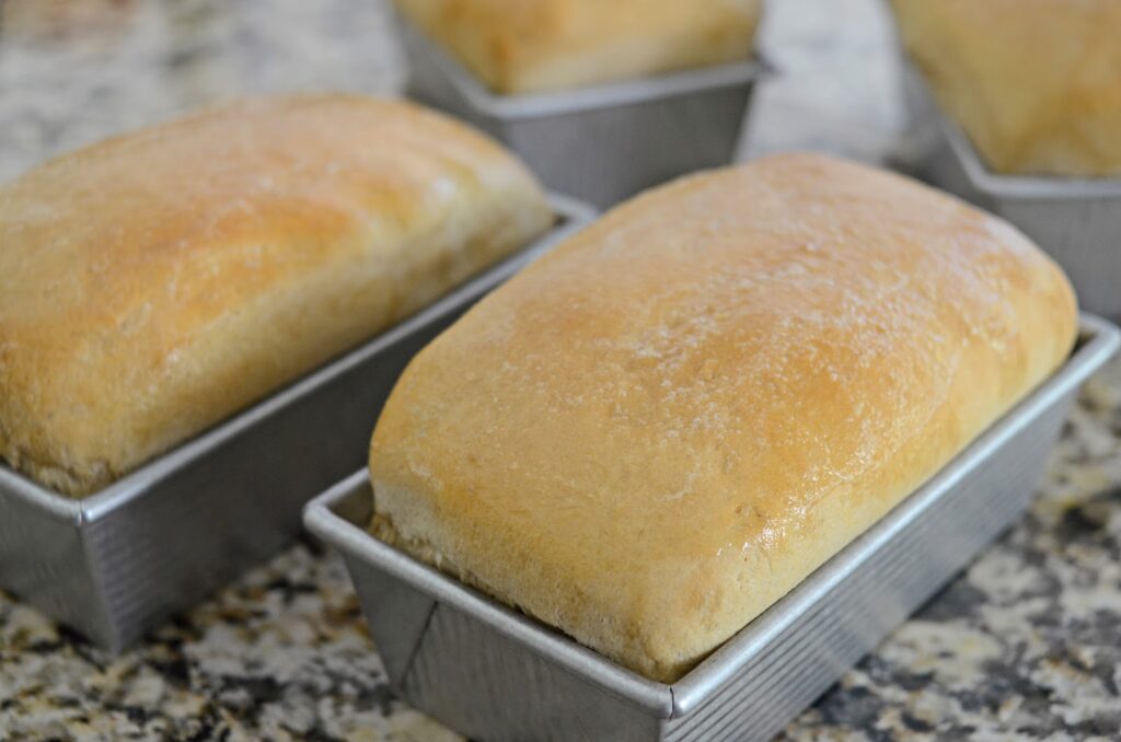 wheat bread