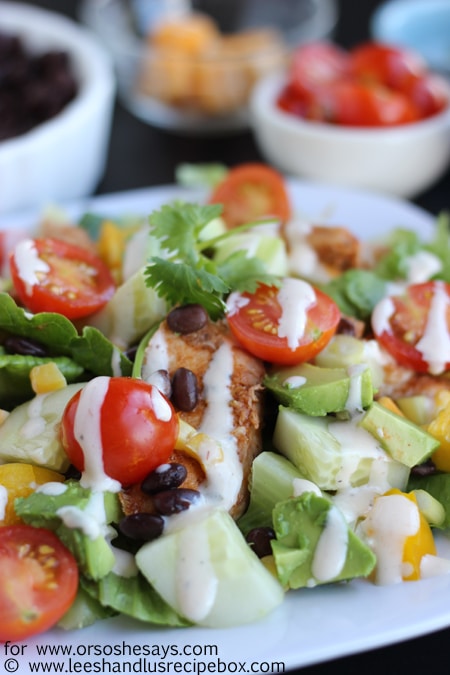 Hold on to the last days of summer with this fresh, delicious BBQ Chicken Salad from Leesh & Lu. Get the recipe on www.orsoshesays.com.