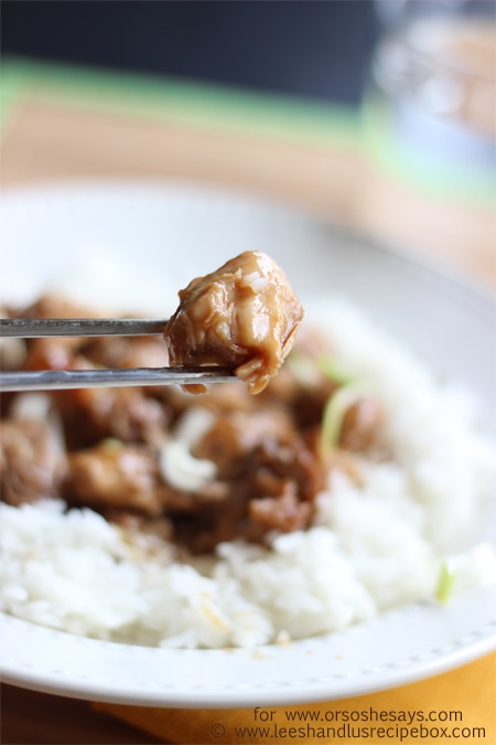 Teriyaki Chicken is a perfect no-fuss meal for back to school! See Leesh & Lu's one-pot take on a classic recipe at www.orsoshesays.com.