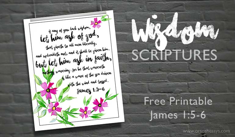 Wisdom Scriptures - Rachel created a beautiful scripture printable so you can see a constant reminder from James that we all need to seek wisdom. Check it out on www.orsoshesays.com today!