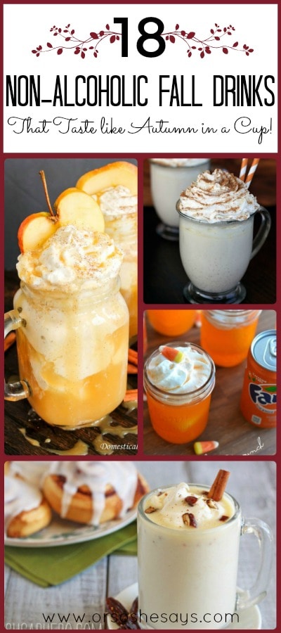 There are so many delicious flavors that come in Autumn, and these non alcoholic drinks let you taste so many of them! Check out the round up today! Mariah's got a list of 18 non alcoholic drinks that taste just like Autumn in a cup. www.orsoshesays.com