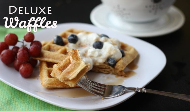 https://oneshetwoshe.com/wp-content/uploads/2017/02/Deluxe-Waffles-17-OSSS.jpg