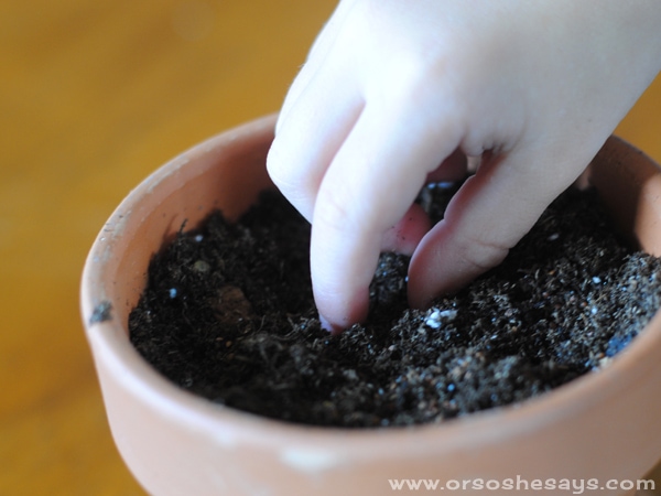 planting seeds with kids