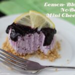 It's no secret that we love cheesecake. And we think this frozen, mini, no-bake version should be declared the official dessert of summer! This blueberry lemon version is cool, light, refreshing, and pretty much everything you could ask for in a dessert. Get the recipe from Leesh and Lu on www.orsoshesays.com today!