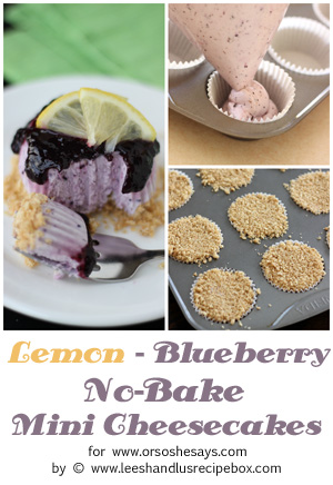 It's no secret that we love cheesecake. And we think this frozen, mini, no-bake version should be declared the official dessert of summer! This blueberry lemon version is cool, light, refreshing, and pretty much everything you could ask for in a dessert. Get the recipe from Leesh and Lu on www.orsoshesays.com today!