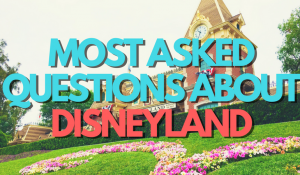 I thought it would be fun to compile a general FAQ list with our top questions and answers. Keep in mind that with most questions about Disneyland, the answers are going to depend on a few things. See what we've compiled today on the blog: www.orsoshesays.com