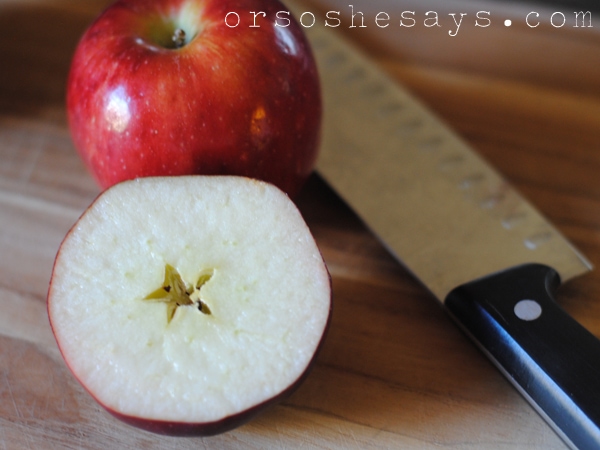 In this Family Night lesson, Adelle shares with her family the fruit of God's love, plus a recipe that will hopefully bring the point home to the kids! Get all the info at www.orsoshesays.com.