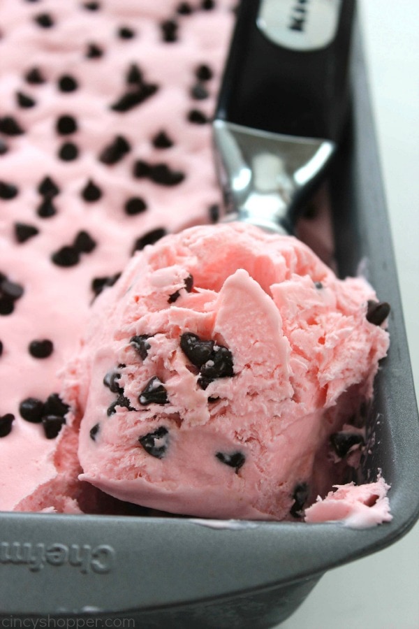 20 Scrumptious No Churn Ice Cream Recipes - www.orsoshesays.com #nochurnicecream #icecream #summer #recipes #osss