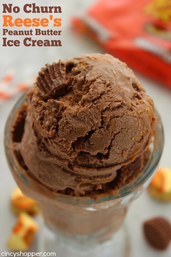 20 Scrumptious No Churn Ice Cream Recipes - www.orsoshesays.com #nochurnicecream #icecream #summer #recipes #osss